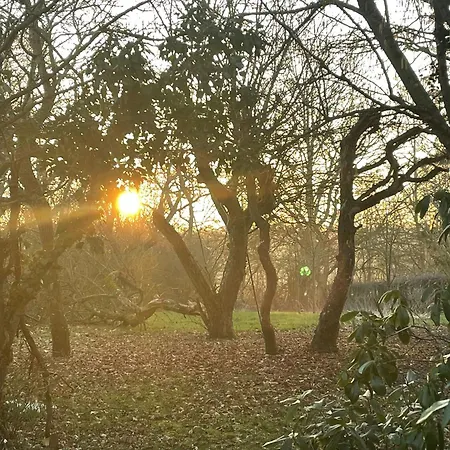 Semesterbostad Newly Renovated In Peaceful Bonsvig