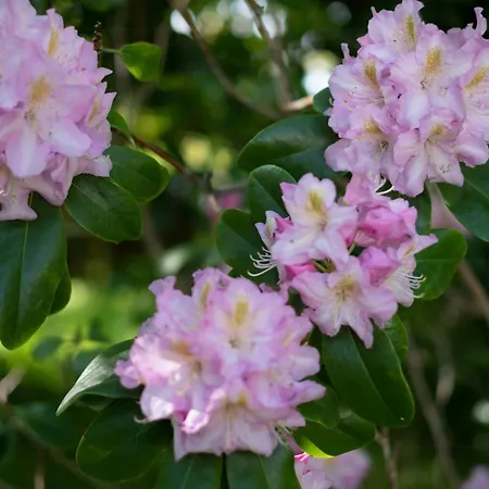 Newly Renovated In Peaceful Bonsvig * Præstø