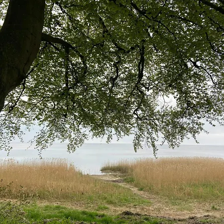 Newly Renovated In Peaceful Bonsvig Semesterbostad *