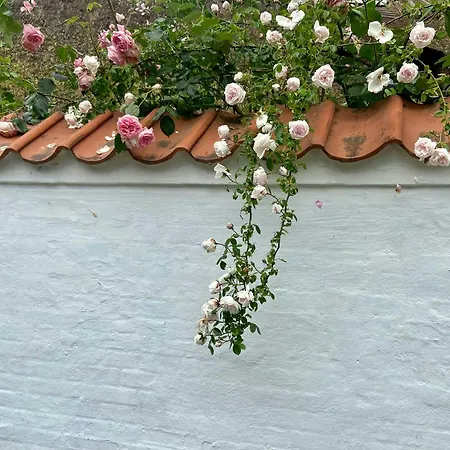 Semesterbostad Newly Renovated In Peaceful Bonsvig Præstø